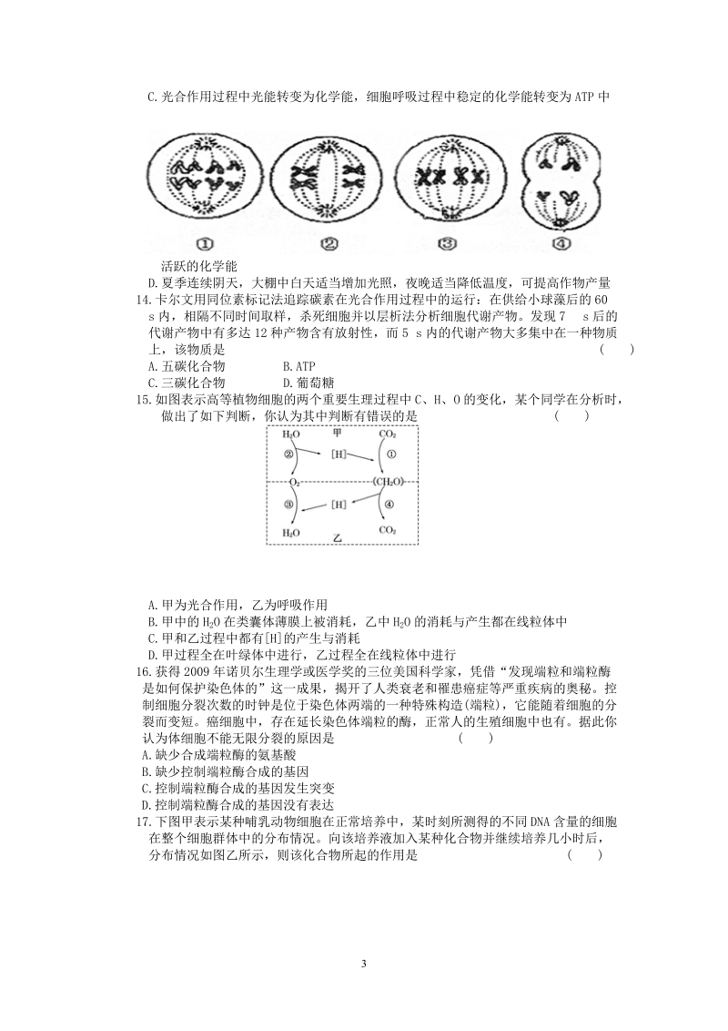 东华高级中学11届高三上学期第七周周测(生物).doc_第3页