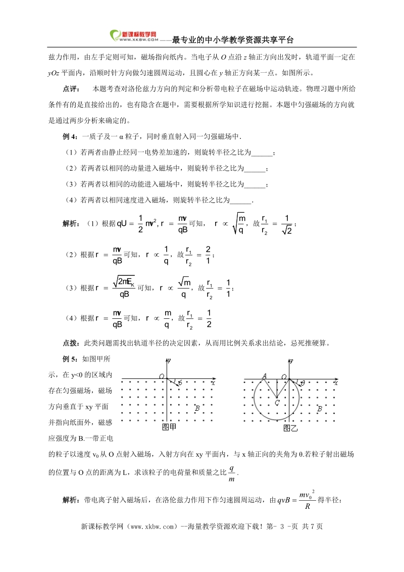 2011_最新_高考物理_之磁场_3_磁场对运动电荷的作用力.doc_第3页