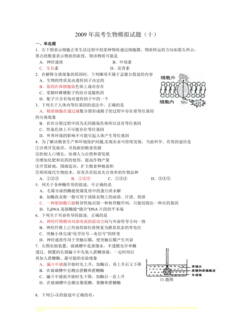 2009年高考生物模拟试题十.doc_第1页