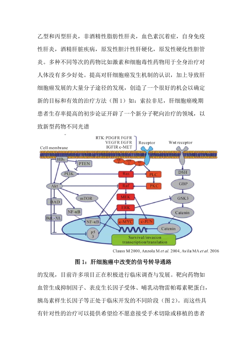 分子靶向治疗肝癌.doc_第2页