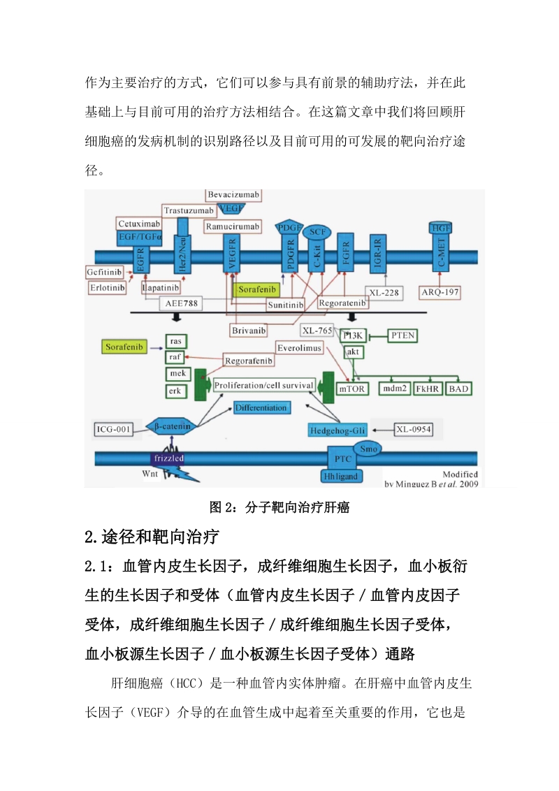 分子靶向治疗肝癌.doc_第3页