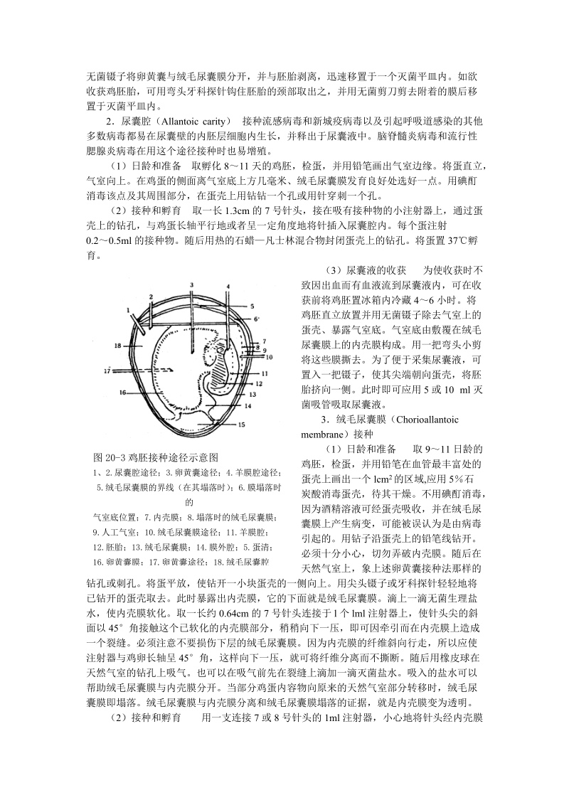 实验十九  病毒学实验技术.doc_第3页