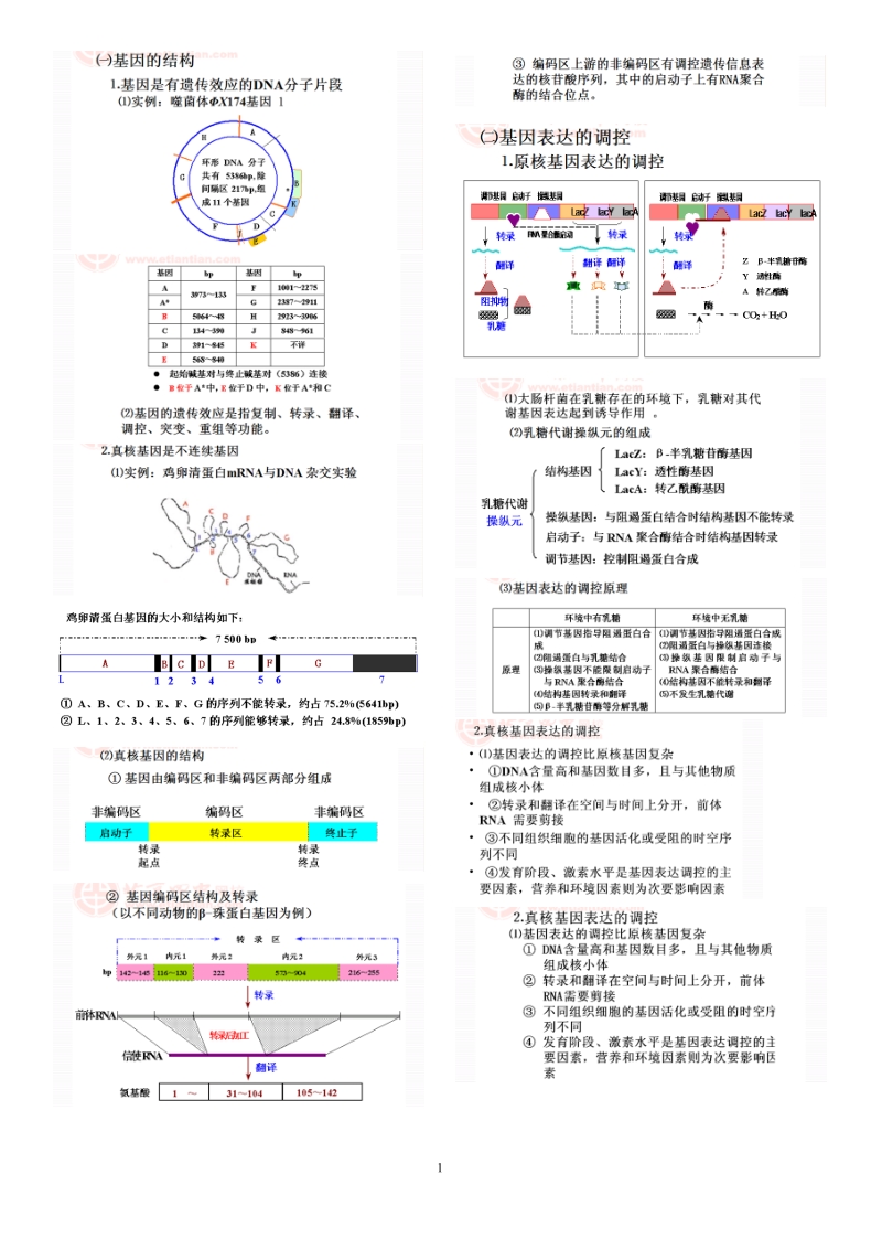 生物技术专题.doc_第1页