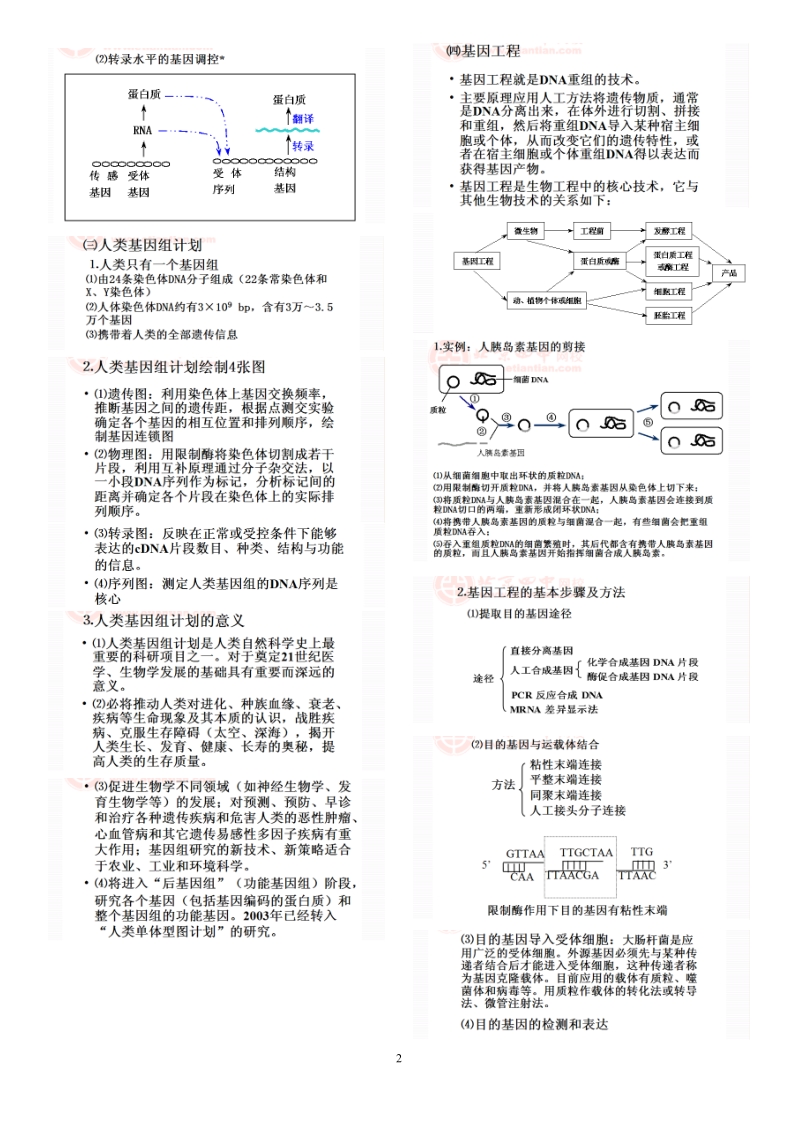 生物技术专题.doc_第2页