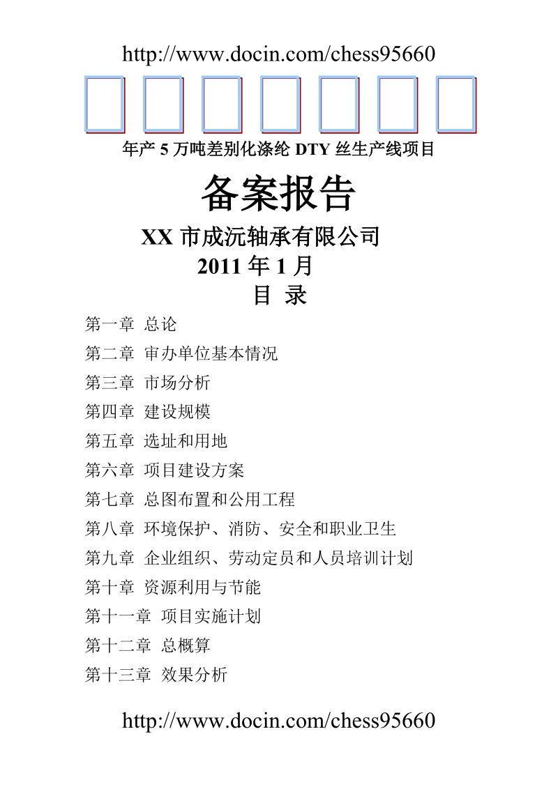 年产5万吨差别化涤纶dty丝生产线项目可行性报告.doc_第1页