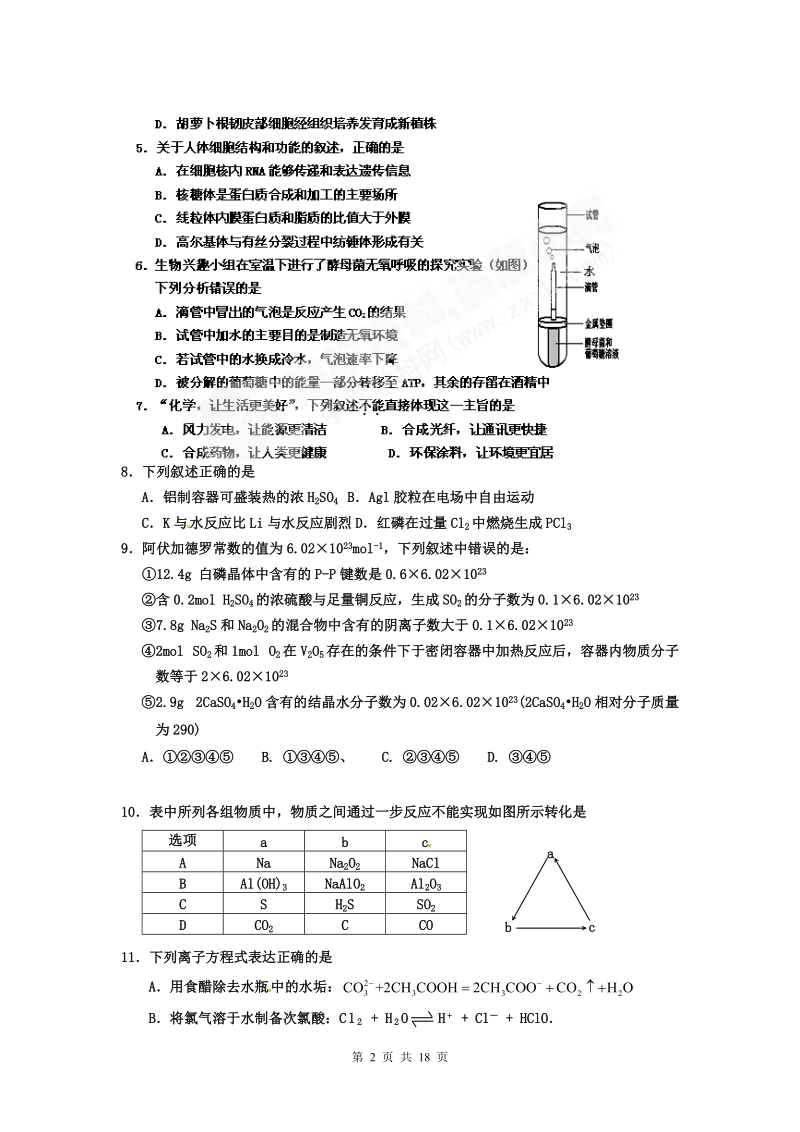 宁夏银川一中2012届高三上学期第二次月考理科综合试题.doc_第2页