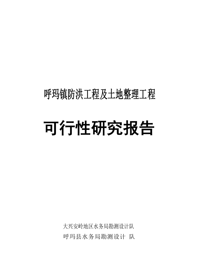 防洪工程及土地整理工程可行性研究报告.doc_第1页