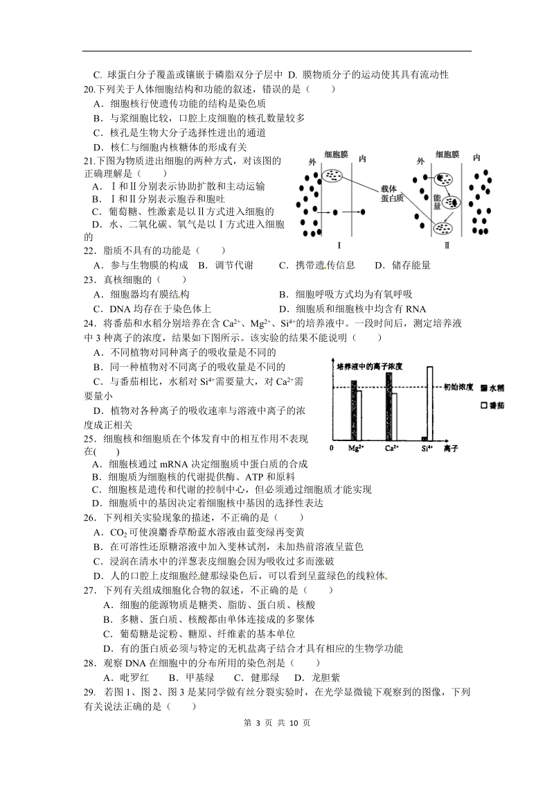 生物卷·2012届福建省安溪一中、惠安一中、养正中学高二年下期末联考试卷(2011.07).doc_第3页