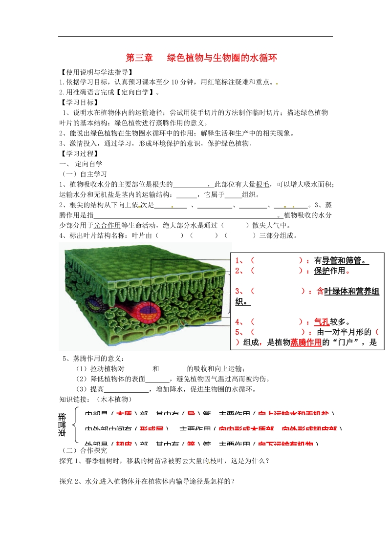 湖南省桑植县2018年七年级生物上册第三单元第三章绿色植物与生物圈的水循环导学案（无答案）（新版）新人教版.doc_第1页