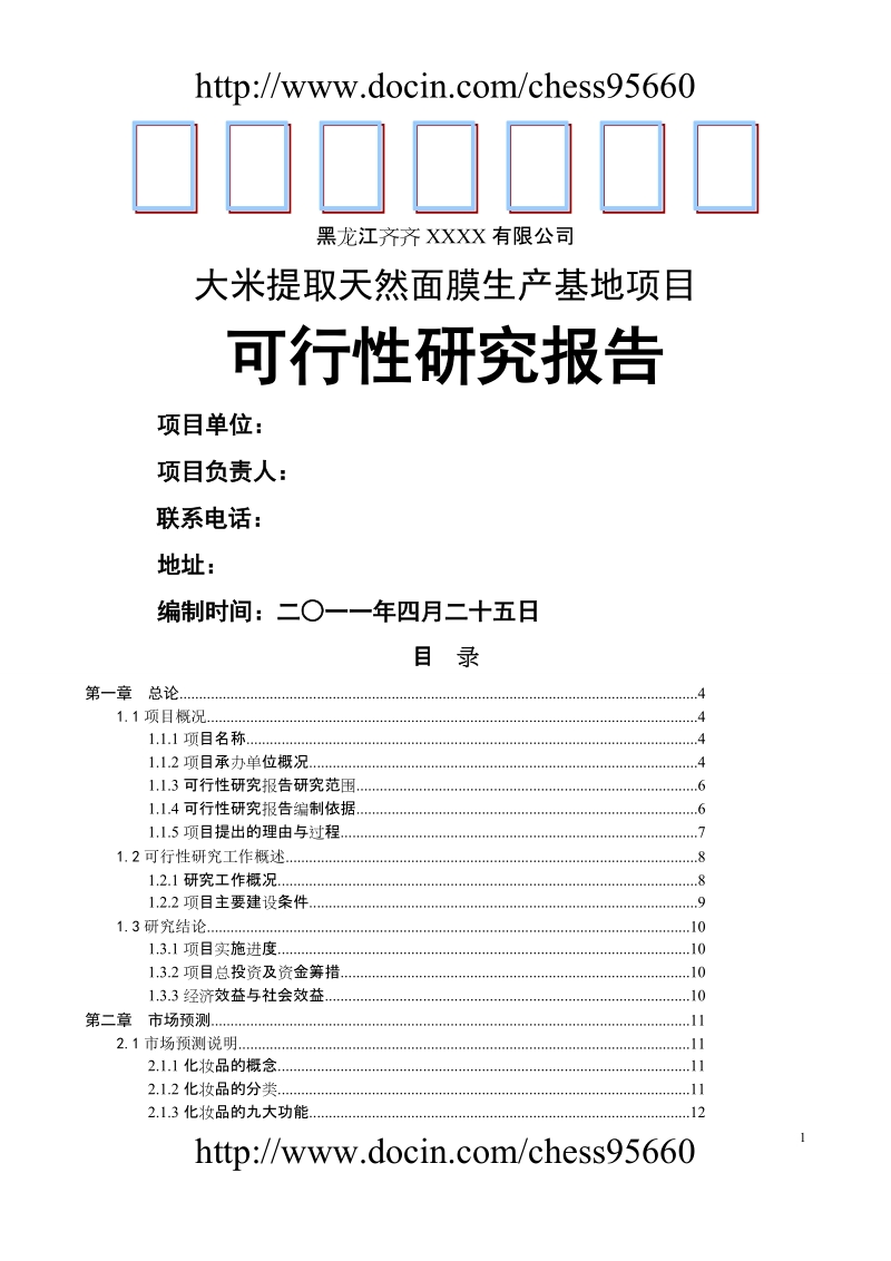 齐齐哈尔大米面膜项目可行性研究.doc_第1页