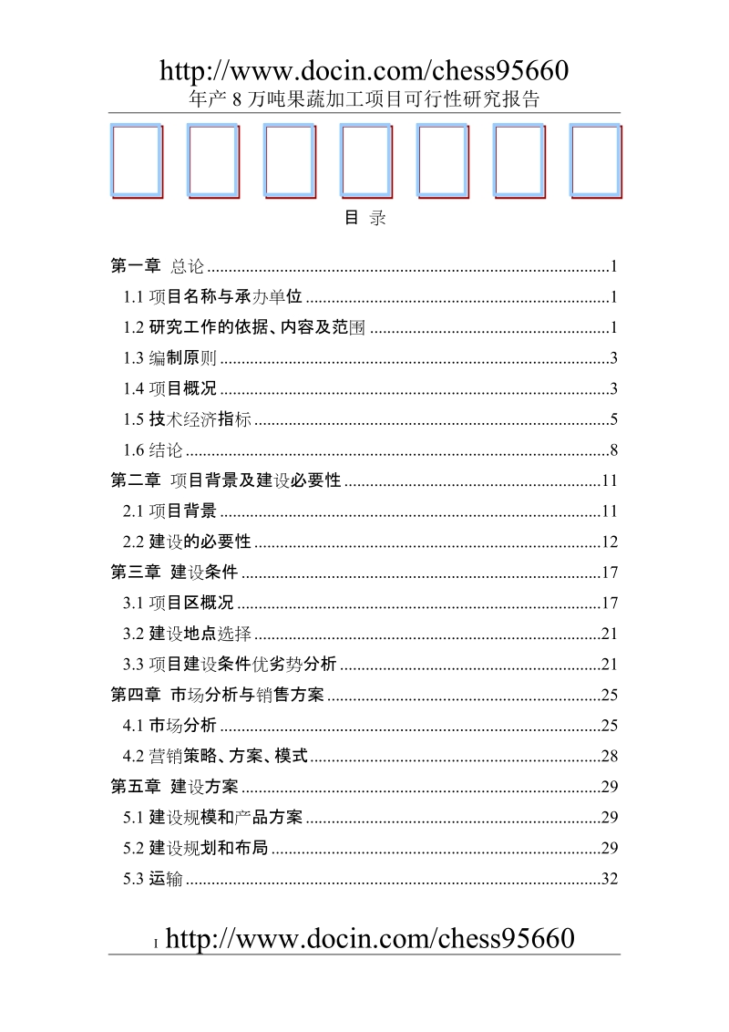 某某公司年产8万吨果蔬加工项目可行性研究报告（优秀可研报告p98页）.doc_第1页