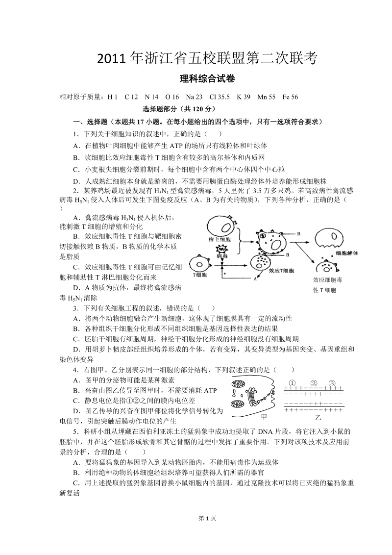 浙江省五校联盟2011年高三第二次联考理科综合试卷.doc_第1页