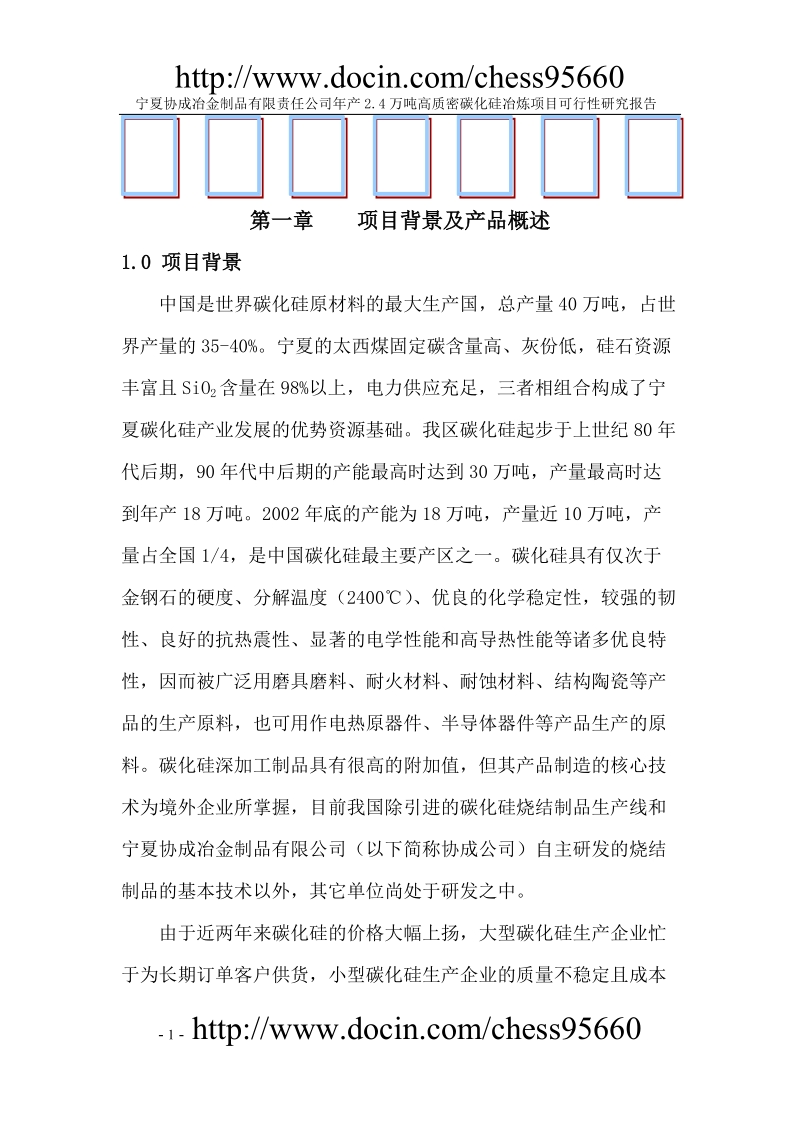 年产2.4万吨碳化硅可行性研究报告.doc_第1页