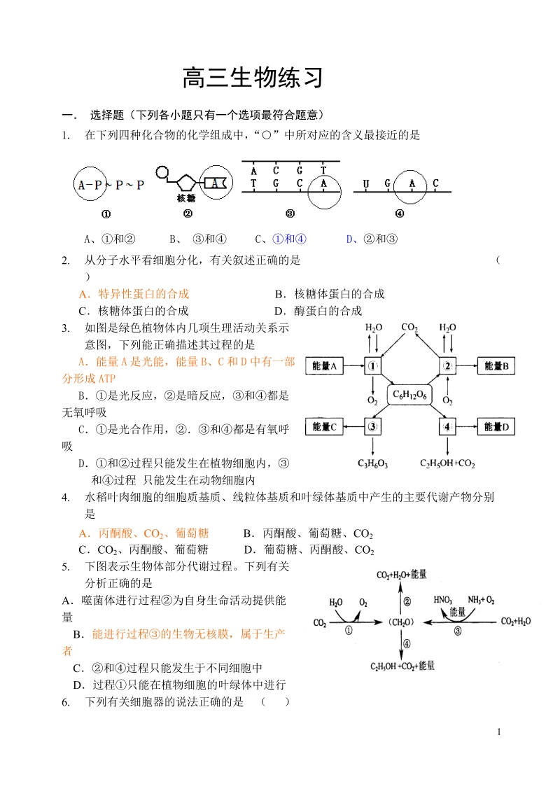 高三生物考试题.doc_第1页