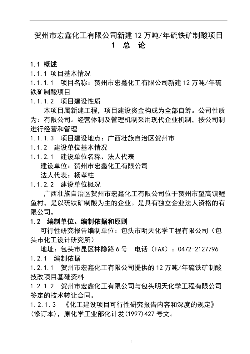 新建12万吨年硫铁矿制酸项目可行性研究报告.doc_第1页