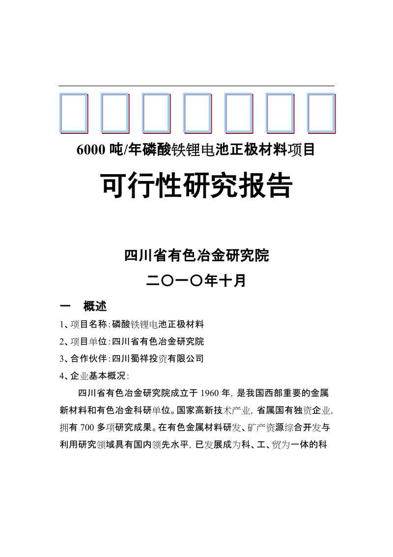 年产6000吨磷酸铁锂正极材料项目可行性研究报告(定).doc_第1页