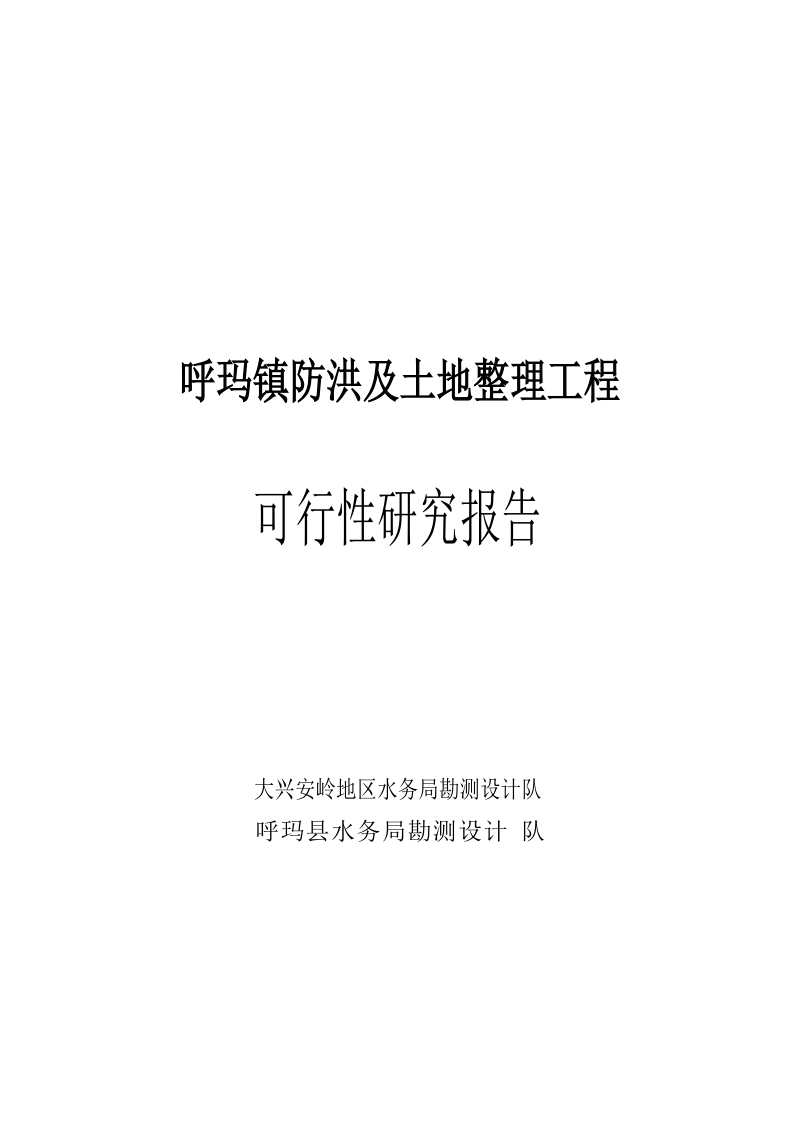 防洪工程及土地整理可行性研究报告.doc_第1页