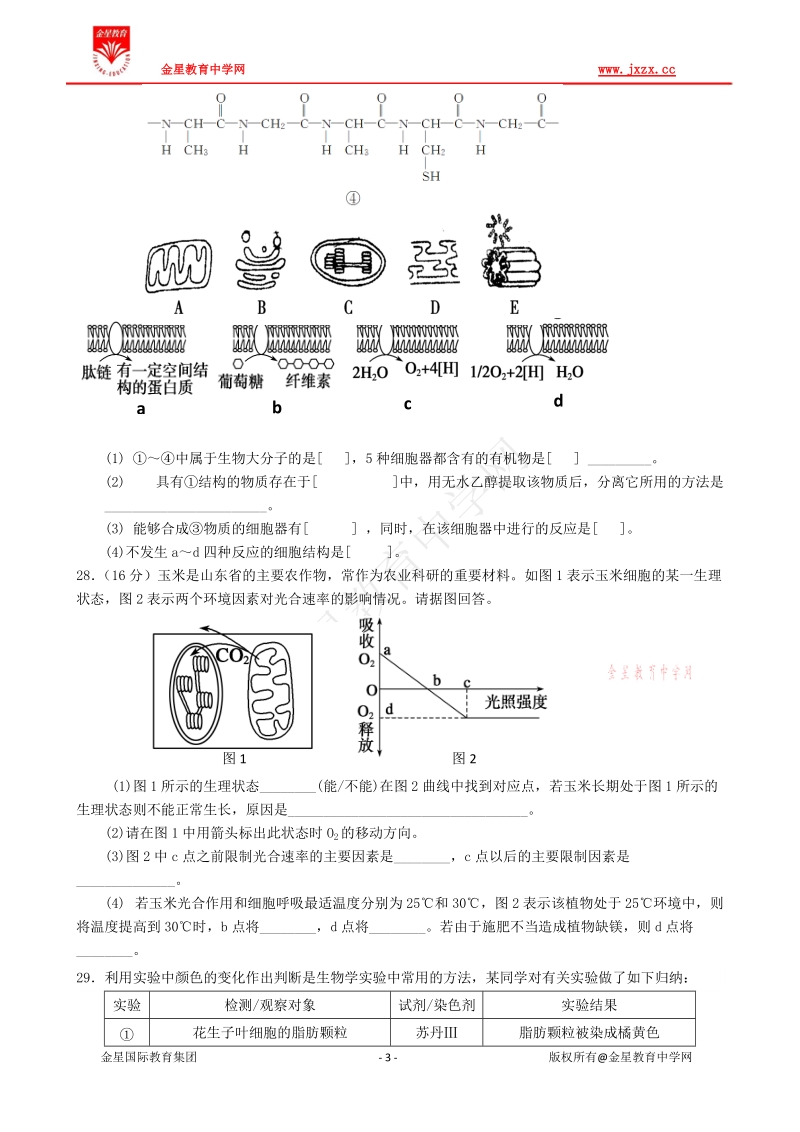 广东省实验中学2012届高三第一次阶段性测试理综生物试题.doc_第3页