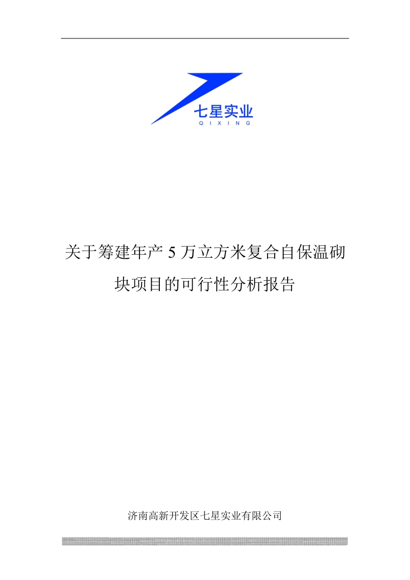 自保温砌块可行性分析报告.doc_第1页