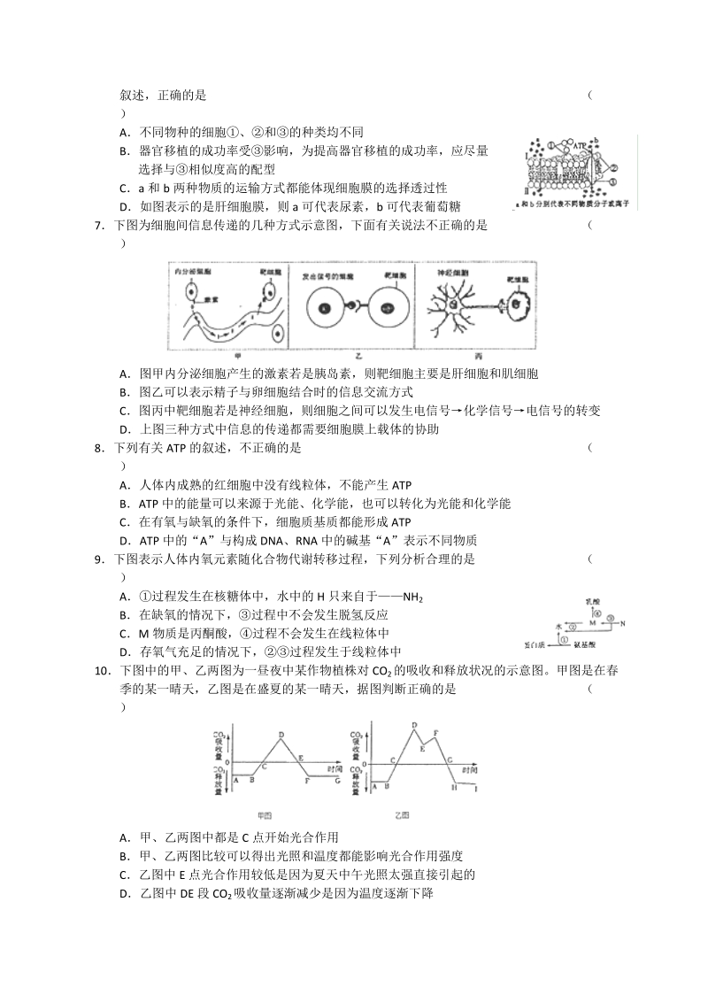 安徽省泗县2012届高三第一学期质量检测生物试题.doc_第2页