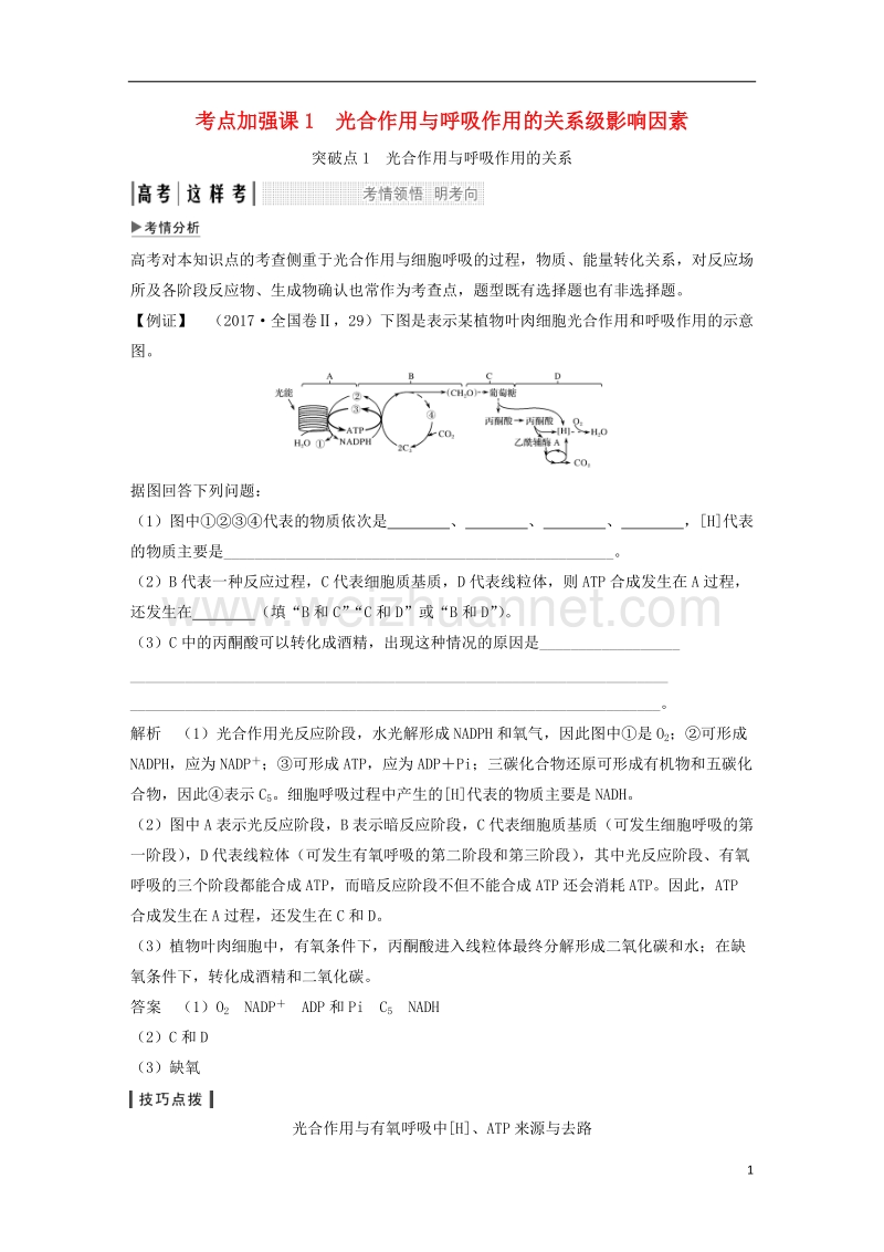 2019版高考生物一轮复习 第一单元 有机体中的细胞 考点加强课1 光合作用与呼吸作用的关系级影响因素创新备考学案 中图版.doc_第1页