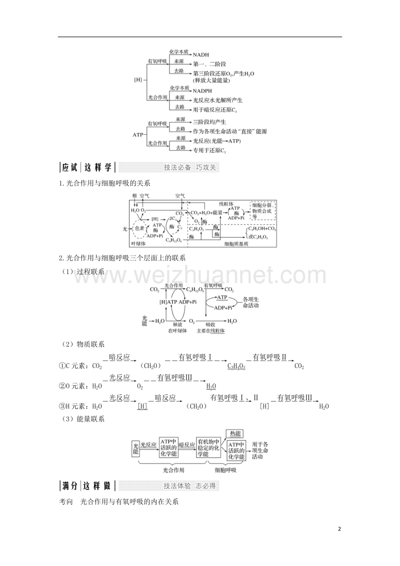 2019版高考生物一轮复习 第一单元 有机体中的细胞 考点加强课1 光合作用与呼吸作用的关系级影响因素创新备考学案 中图版.doc_第2页