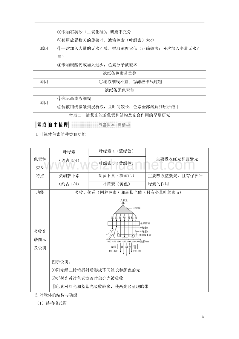 2019版高考生物一轮复习 第四单元 细胞的能量供应与利用 第8讲 光能的捕获和利用创新备考学案 中图版.doc_第3页