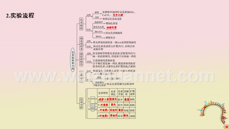 2019版高考生物一轮复习 第四单元 细胞的能量供应与利用 第8讲 光能的捕获和利用创新备考课件 中图版.ppt_第3页