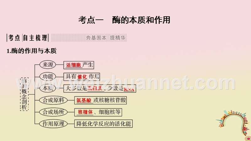 2019版高考生物一轮复习 第四单元 细胞的能量供应与利用 第6讲 酶的本质、特性及相关实验探究创新备考课件 中图版.ppt_第2页