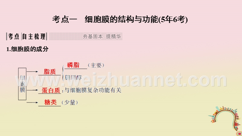 2019版高考生物一轮复习 第三单元 细胞的新陈代谢 第5讲 细胞的物质运输功能创新备考课件 中图版.ppt_第2页