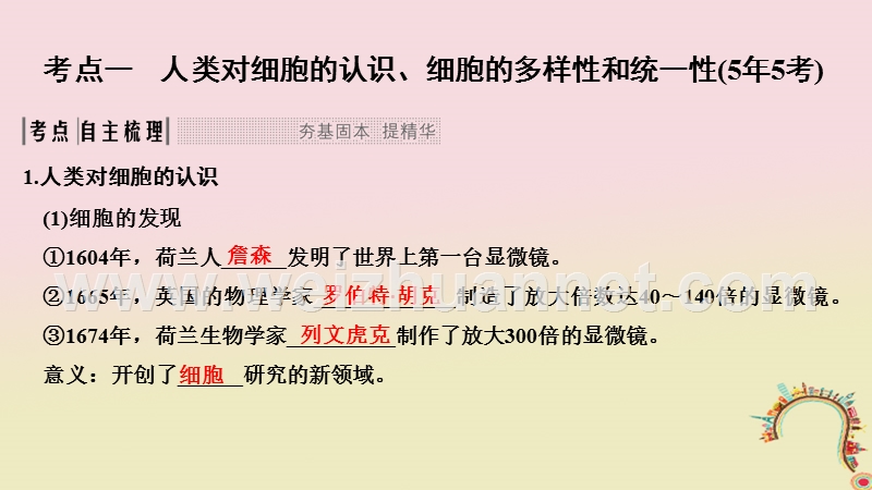 2019版高考生物一轮复习 第一单元 有机体中的细胞 第1讲 细胞概述、基本结构及真核与原核细胞创新备考课件 中图版.ppt_第2页