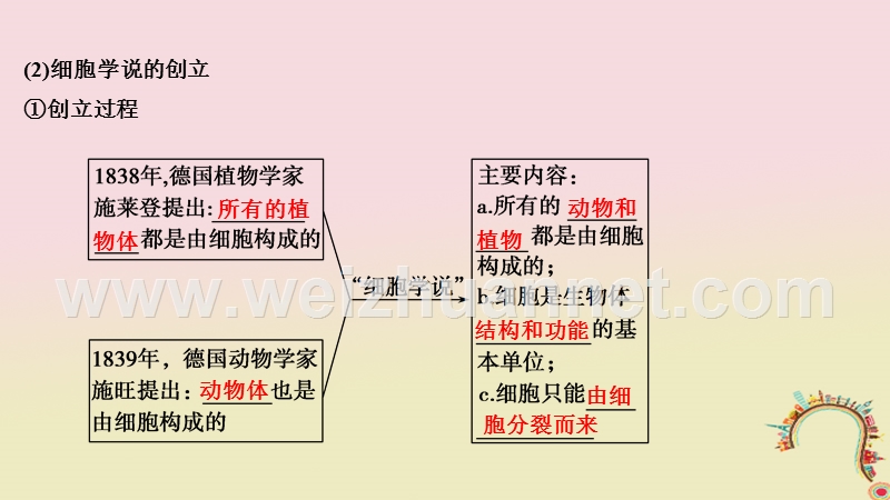 2019版高考生物一轮复习 第一单元 有机体中的细胞 第1讲 细胞概述、基本结构及真核与原核细胞创新备考课件 中图版.ppt_第3页