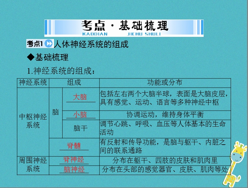 2018年中考生物 考点梳理 第一轮 第四章 第四讲 人体的生命活动调节课件.ppt_第3页