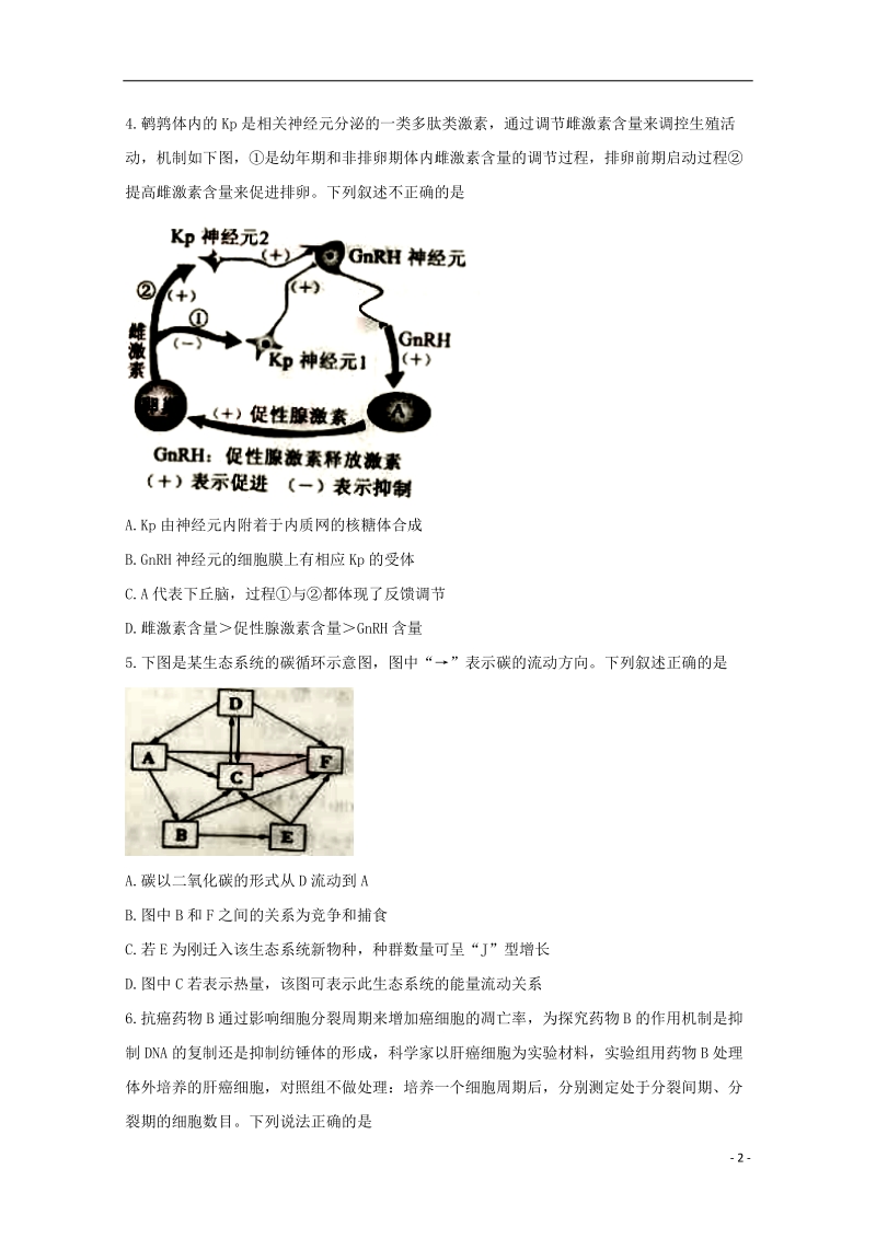 福建省南平市2018届高三生物上学期第一次综合质量检查（2月）试题.doc_第2页