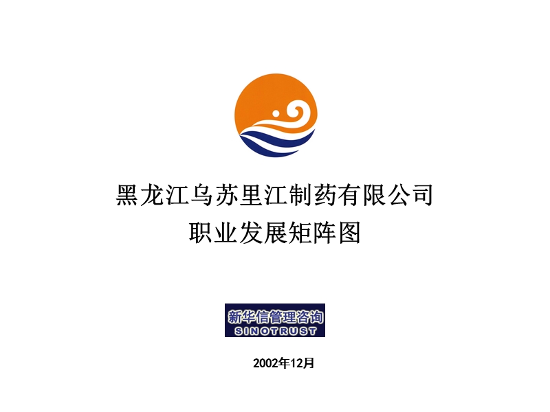 乌苏里江有限公司职业发展矩阵图.ppt_第1页