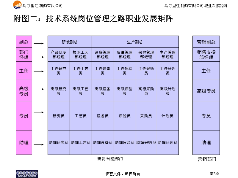 乌苏里江有限公司职业发展矩阵图.ppt_第3页