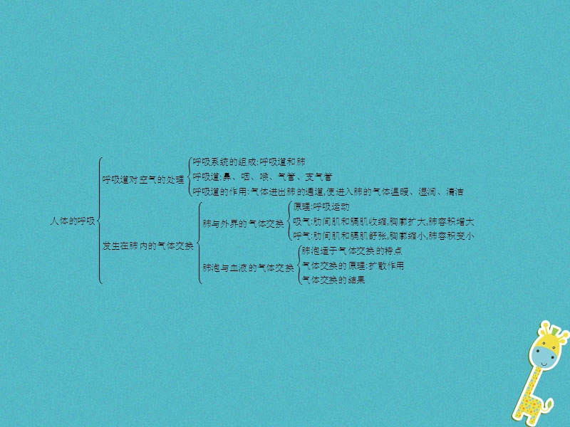 中考生物 第四单元 生物圈中的人 第二、三章整合课件 新人教版.ppt_第3页