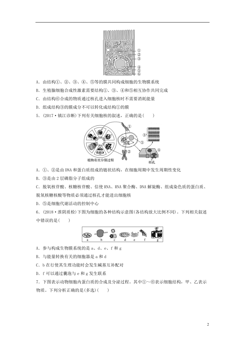 （江苏专版）2019版高考生物一轮复习 热点针对练12 对比分析细胞的亚显微结构与功能 新人教版.doc_第2页