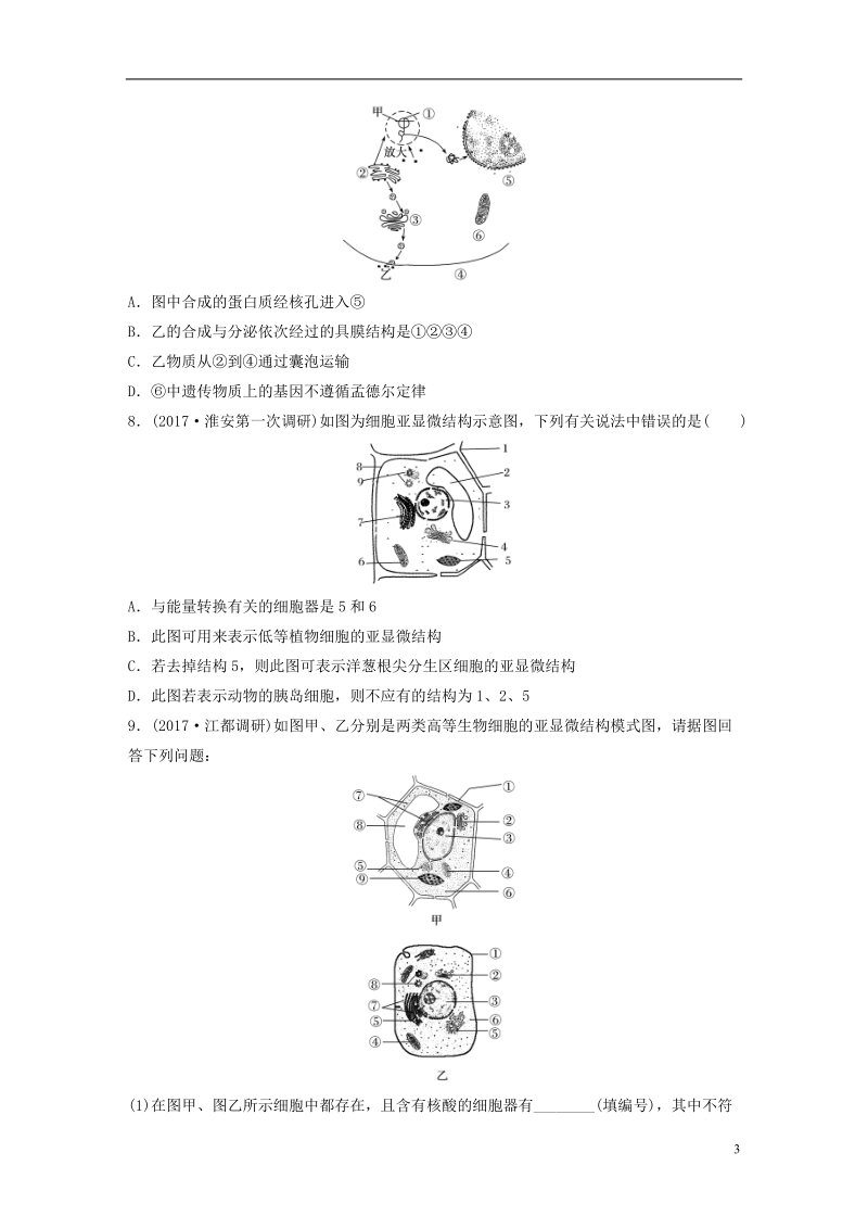 （江苏专版）2019版高考生物一轮复习 热点针对练12 对比分析细胞的亚显微结构与功能 新人教版.doc_第3页