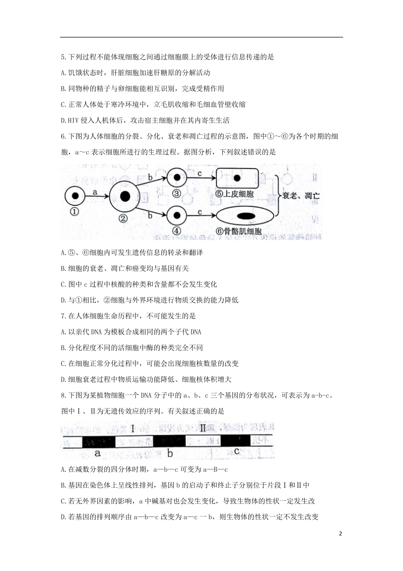 山东省烟台市2018版高三生物上学期期末自主练习试题.doc_第2页