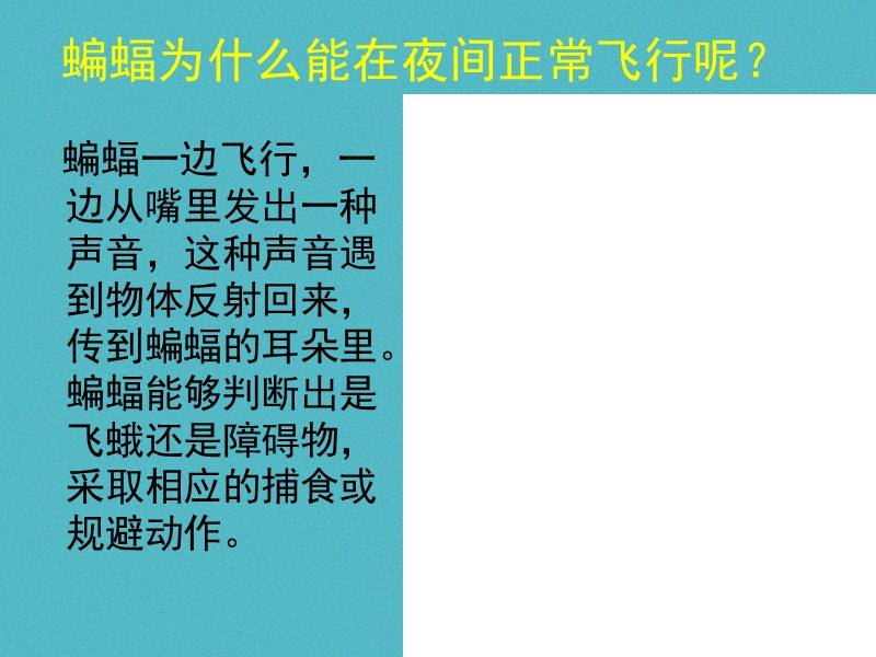 八年级物理上册1.7超声波及其应用课件1北京课改版.ppt_第3页