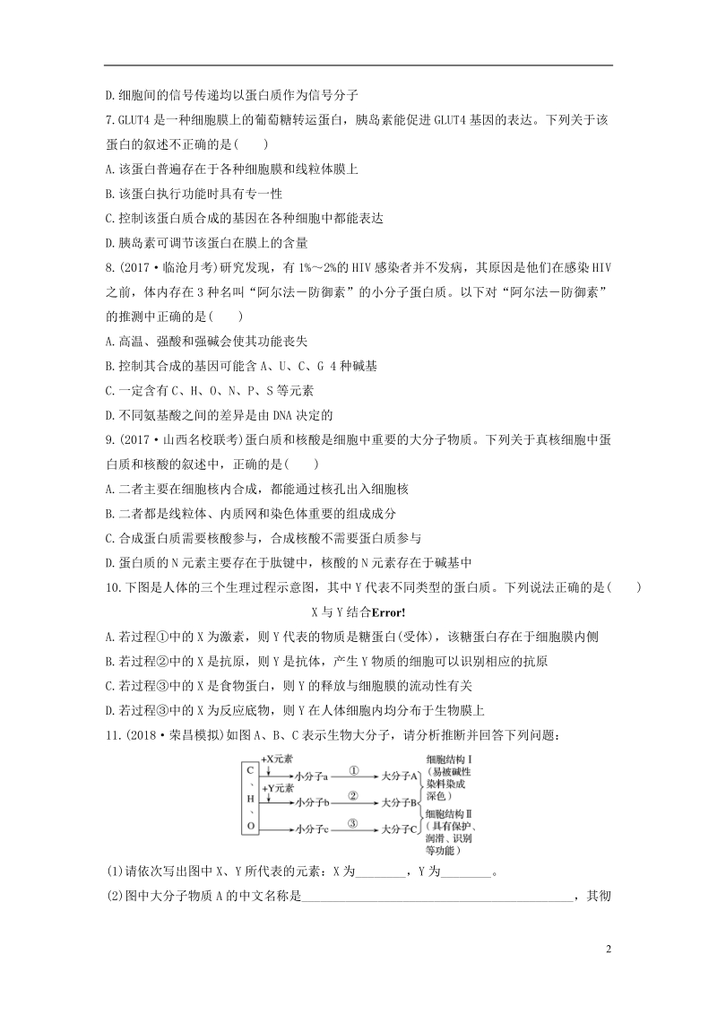 2019版高考生物 重点强化练 第4练 透析蛋白质结构层次及蛋白质与核酸之间的联系 北师大版.doc_第2页