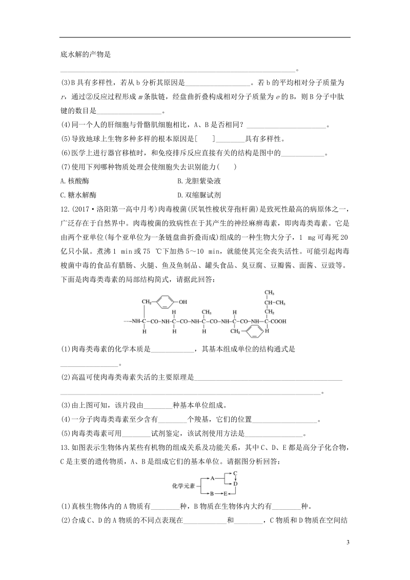 2019版高考生物 重点强化练 第4练 透析蛋白质结构层次及蛋白质与核酸之间的联系 北师大版.doc_第3页