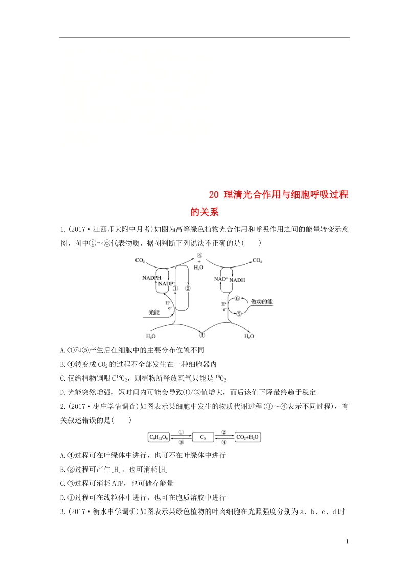 2019版高考生物 重点强化练 第20练 理清光合作用与细胞呼吸过程的关系 北师大版.doc_第1页