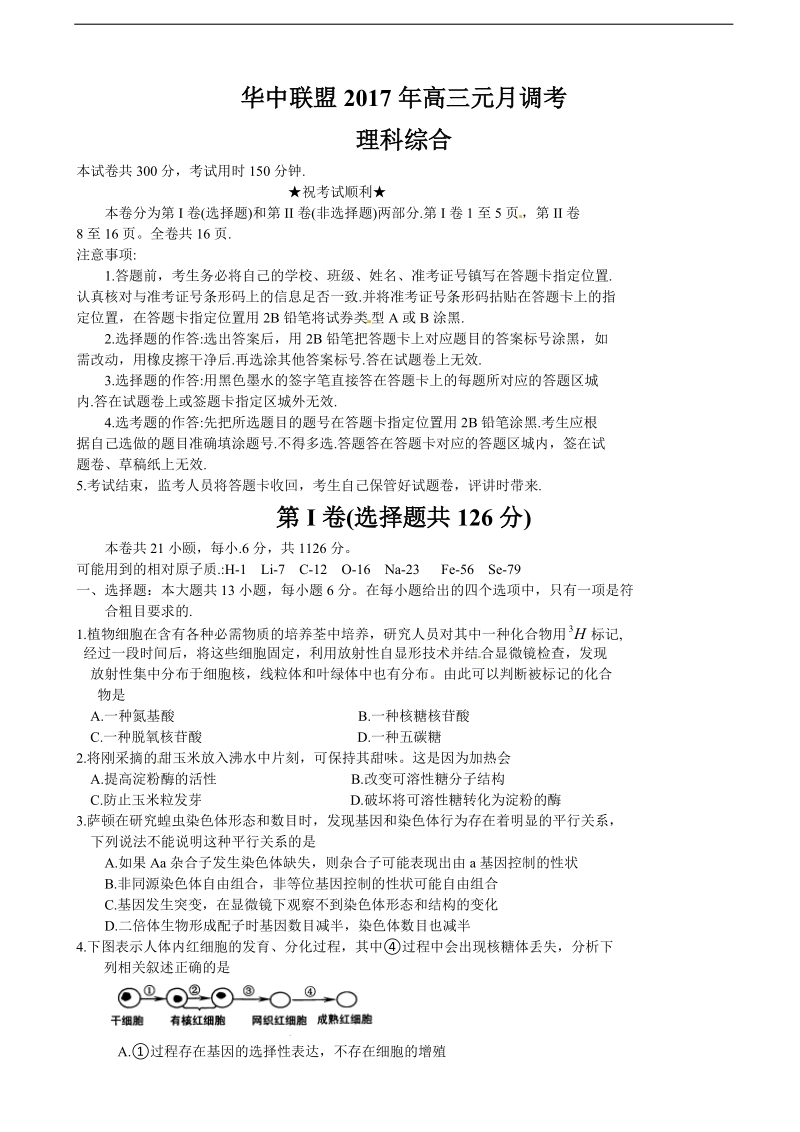 2017年湖北省武昌区高三元月调研考试理科综合试题.doc_第1页