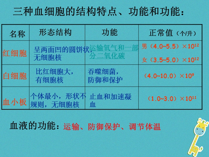 2018中考生物 人体内物质的运输专题复习课件.ppt_第3页