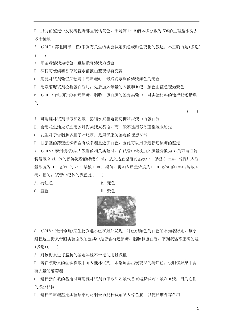 （江苏专版）2019版高考生物一轮复习 热点针对练8 全面掌握“糖类、脂肪和蛋白质的检测”实验 新人教版.doc_第2页