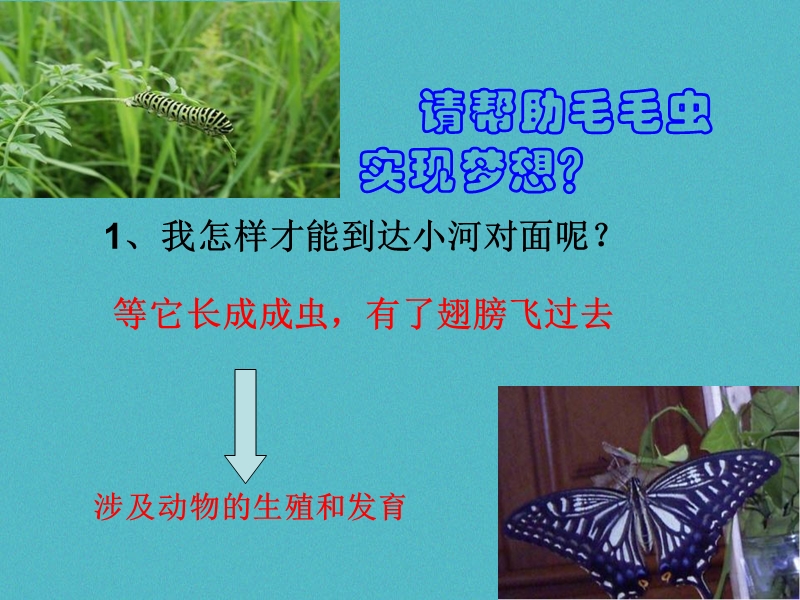 2018年八年级生物下册 7.1.2昆虫的生殖和发育课件 （新版）新人教版.ppt_第3页