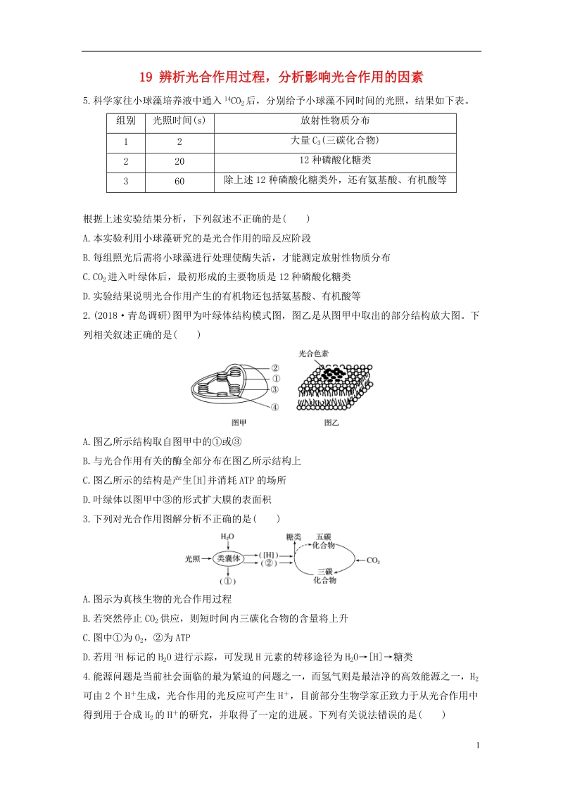 2019版高考生物 加练半小时 第19练 辨析光合作用过程，分析影响光合作用的因素 苏教版.doc_第1页