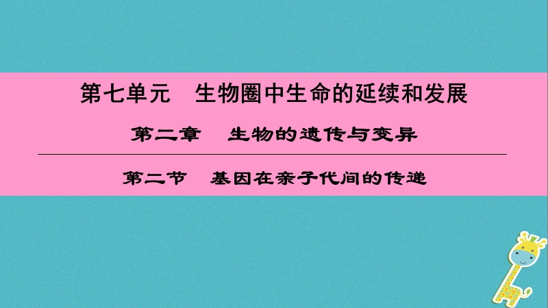 （深圳专用）2018八年级生物下册 第七单元 第二章 第二节 基因在亲子代间的传递课件 （新版）新人教版.ppt_第1页